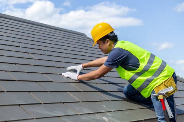 Best Roof Gutter Cleaning  in Highland, KS