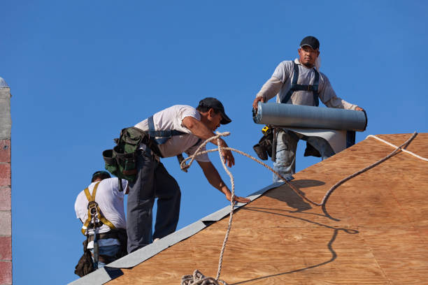 Best Roof Repair Services  in Highland, KS